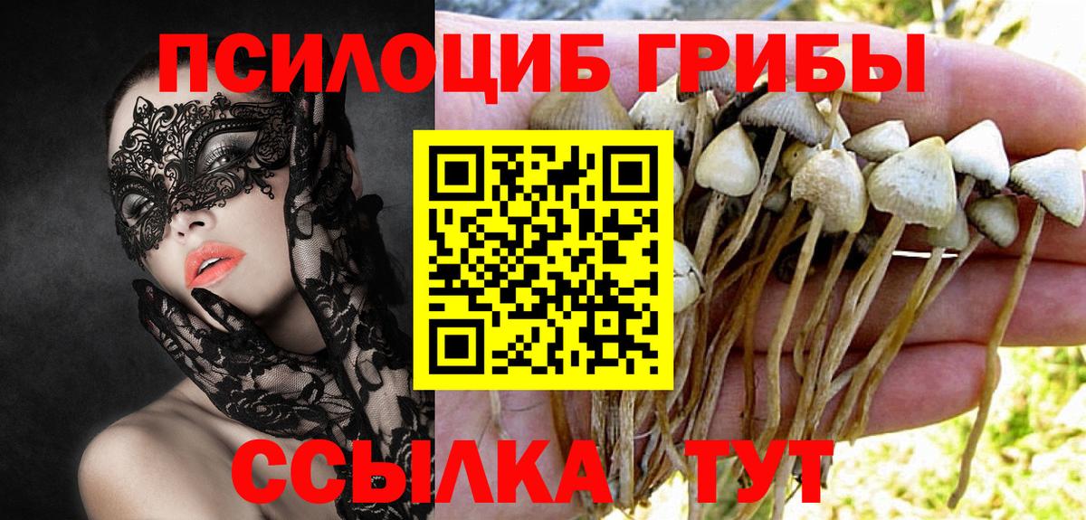Галлюциногенные грибы Cubensis Белогорск