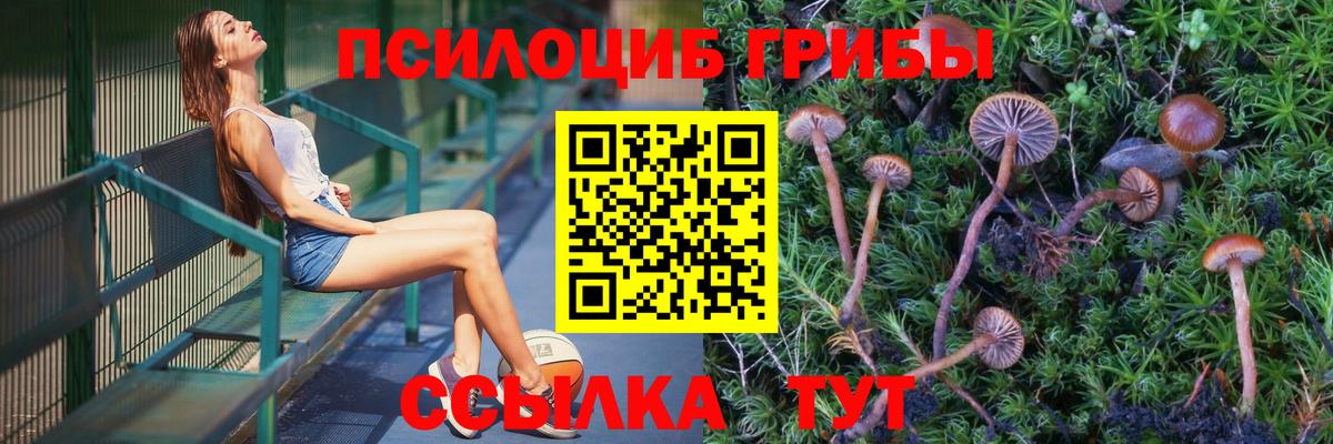 Белогорск  Галлюциногенные грибы Psilocybine cubensis  Вход с VPN  Галлюциногенные грибы MAGIC MUSHROOMS 